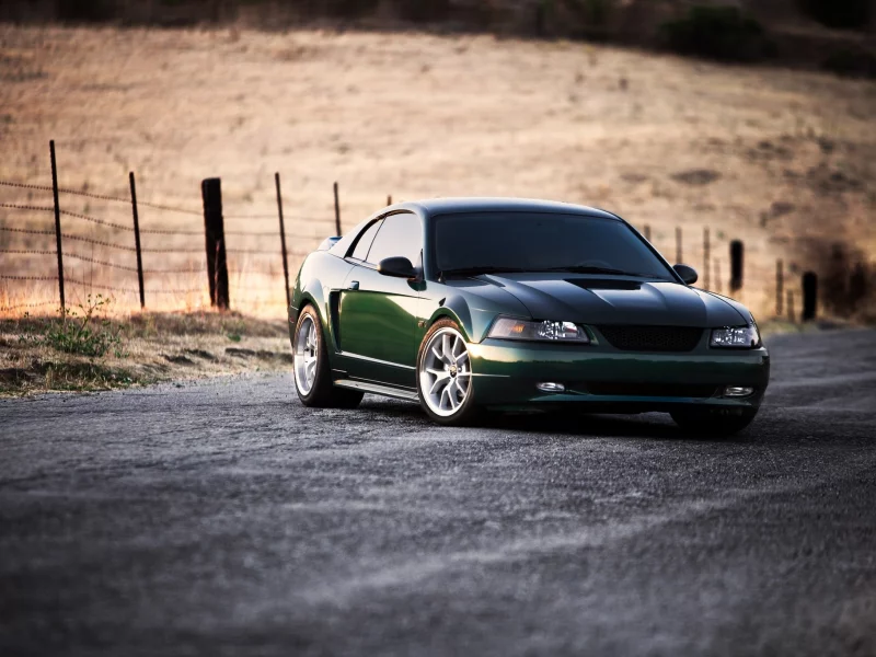зелёный, green, Ford, форд, мустанг, field, дорога, mustang, road