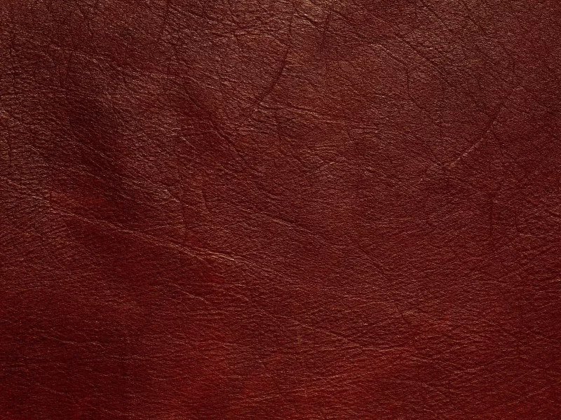 прожилки, animal texture, выделка, Текстура, кожа