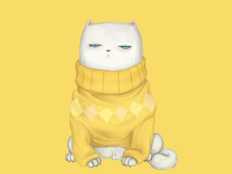 взгляд, Кот, свитер, мордочка