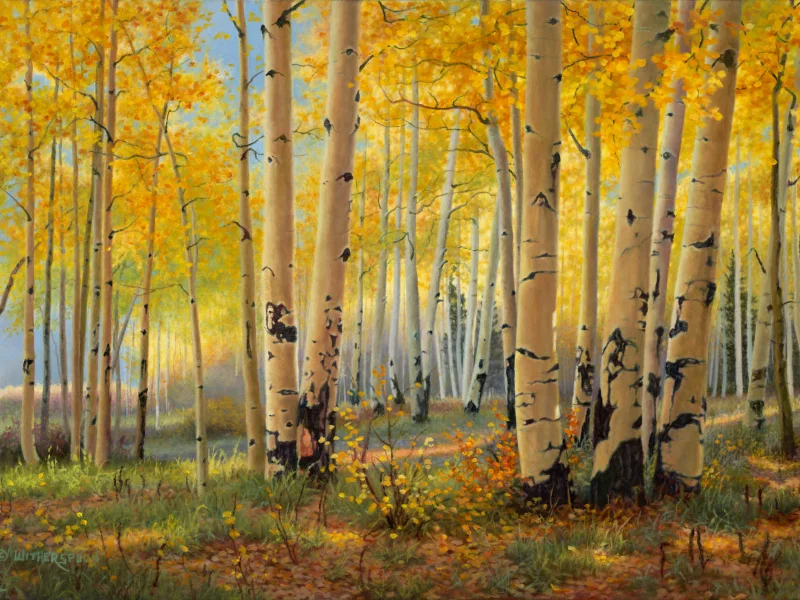 золотая осень, искусство, pillars of gold, живопись, Kay witherspoon