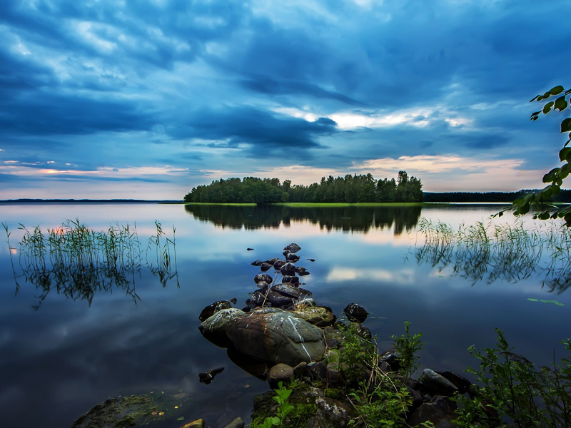 остров, лес, деревья, озеро, гладь, Водоём, камни