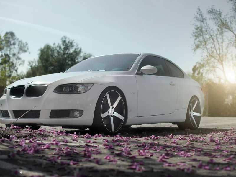 лепестки, авто, Bmw, сад, тюнинг, деревья, машины, диски