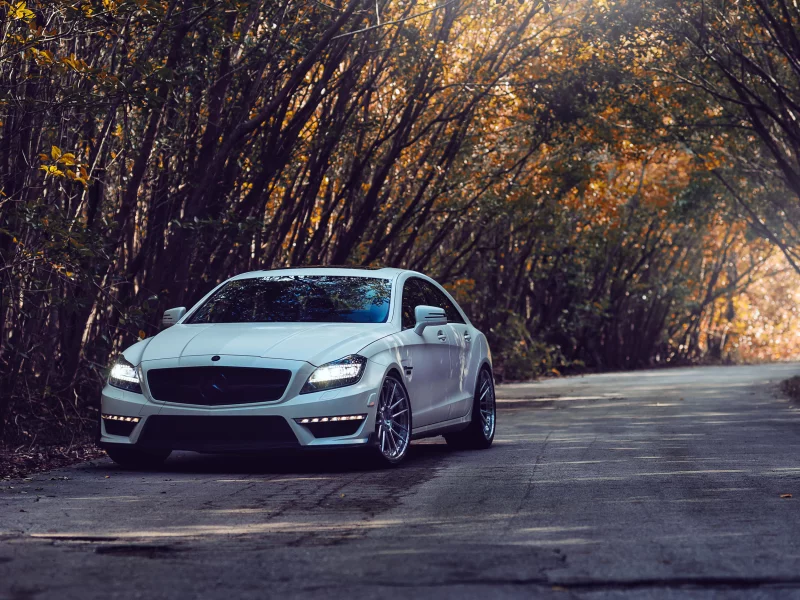 дорога, мерседес, деревья, тюнинг, Mercedes cls 63 amg