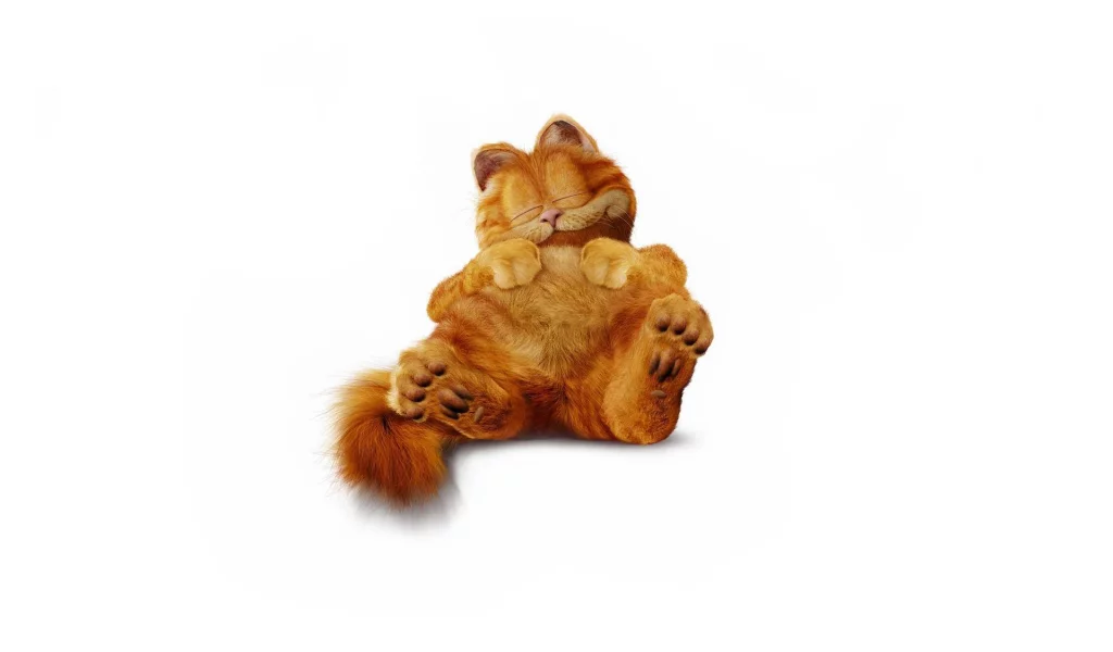 спит, Гарфилд, пушистый, кот, минимализм, рыжий, garfield