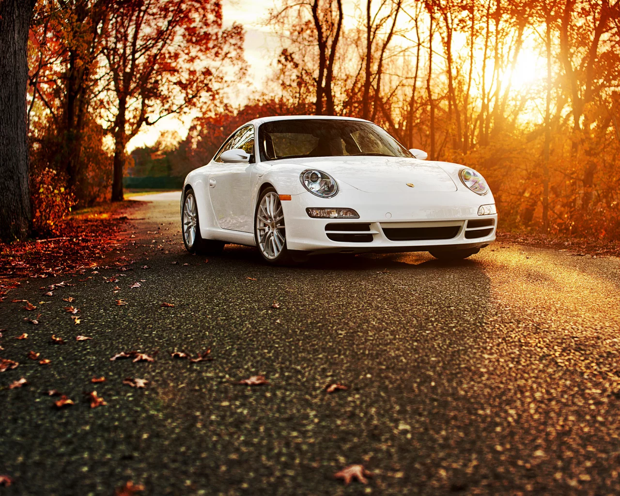 порше, осень, 911, Porsche 911 carrera s, белый