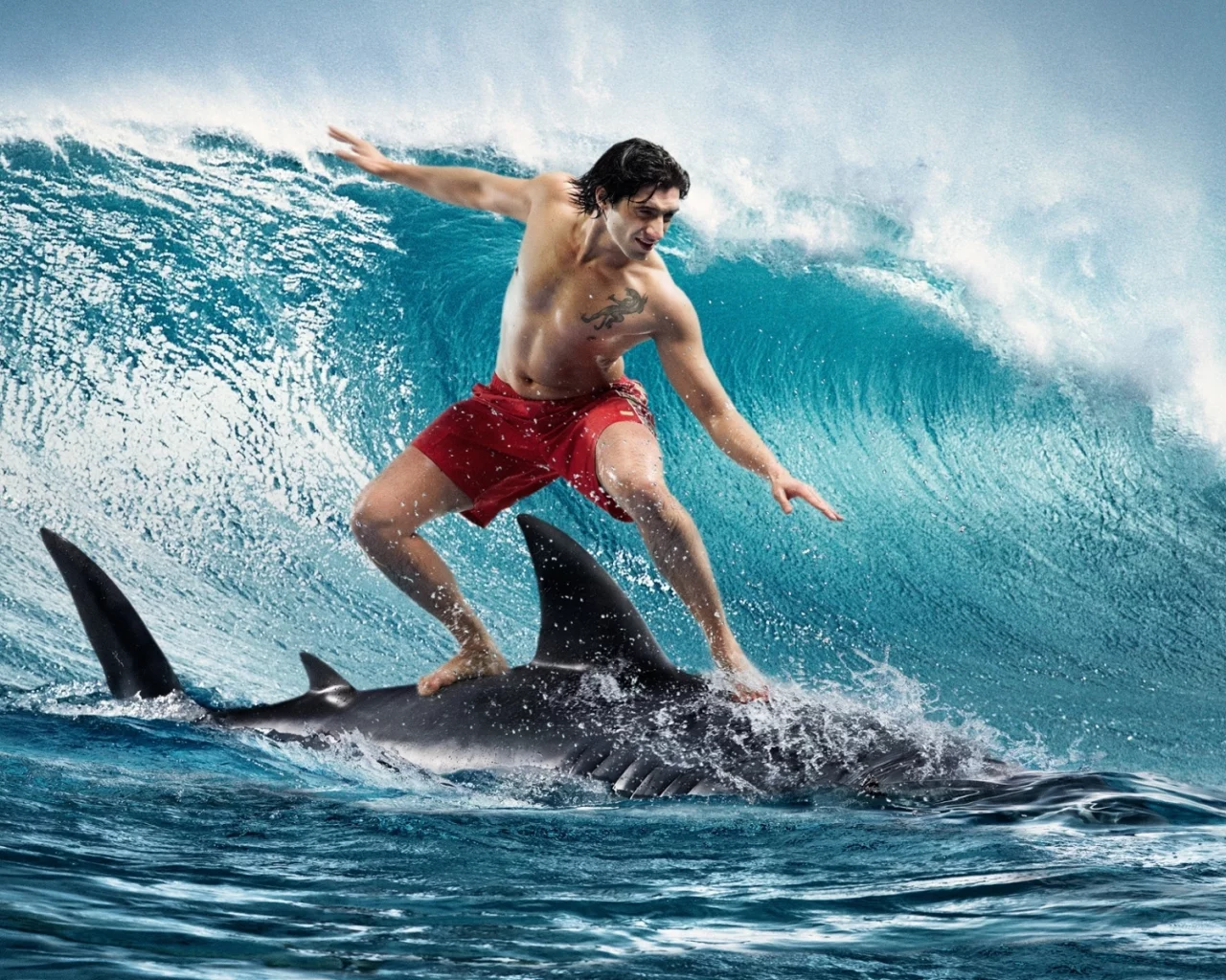 сёрфинг, Парень, surfing, акула, волна