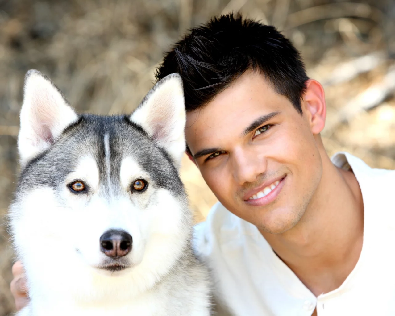 teylor lautner, актер, Тейлор лотнер, собака