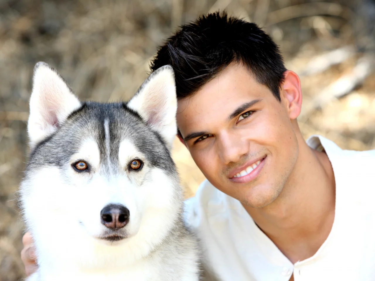 teylor lautner, актер, Тейлор лотнер, собака