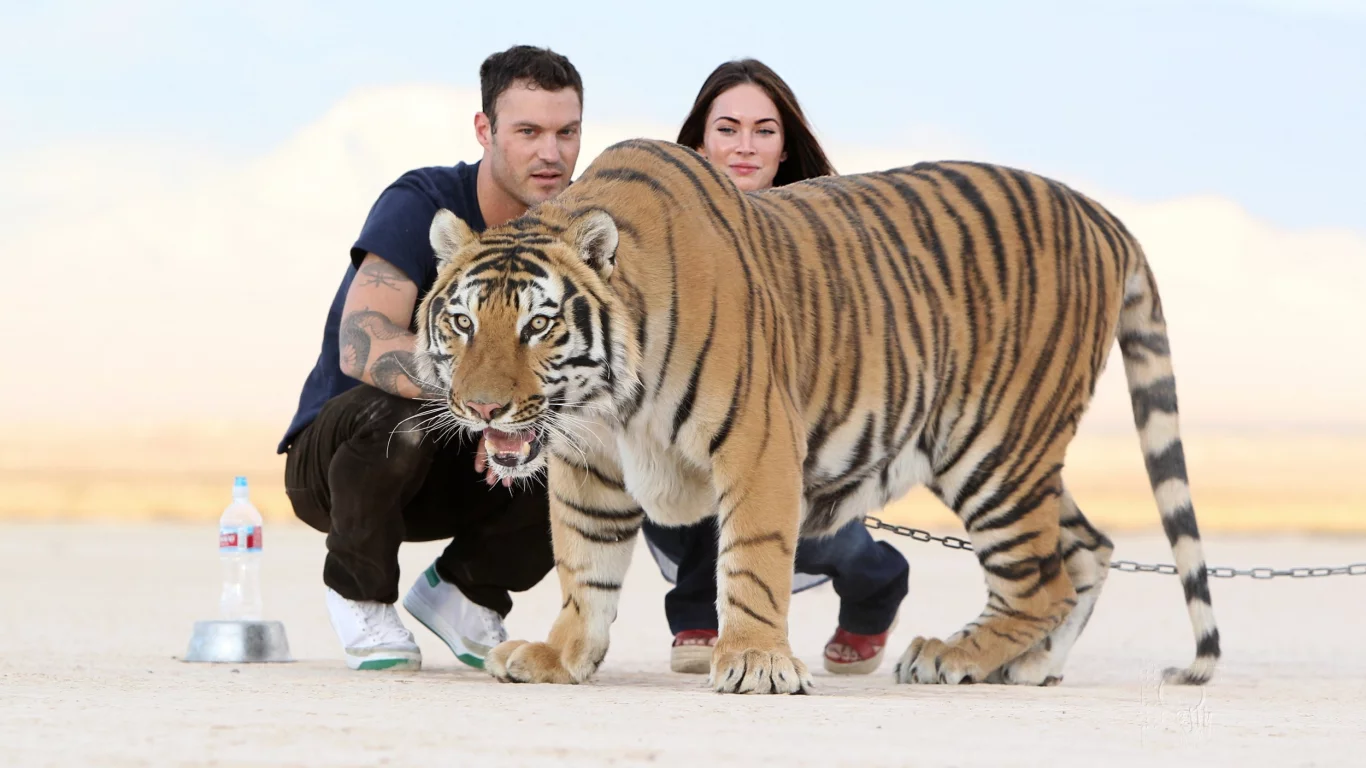 Тигр, Megan Fox