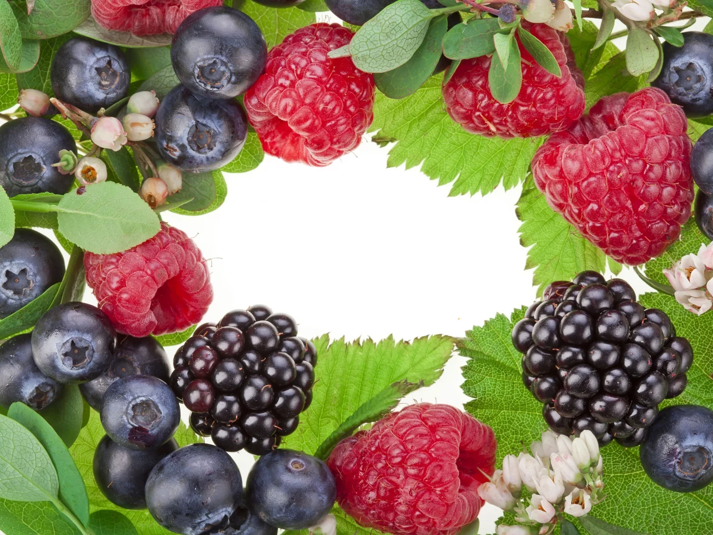 цветы, черника, ягоды, малина, листья, Ежевика