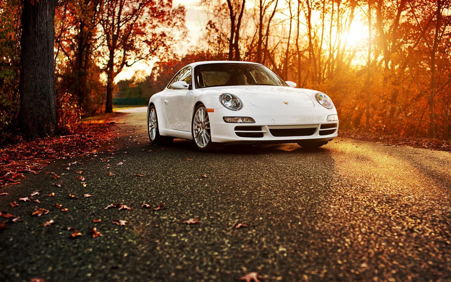 порше, осень, 911, Porsche 911 carrera s, белый