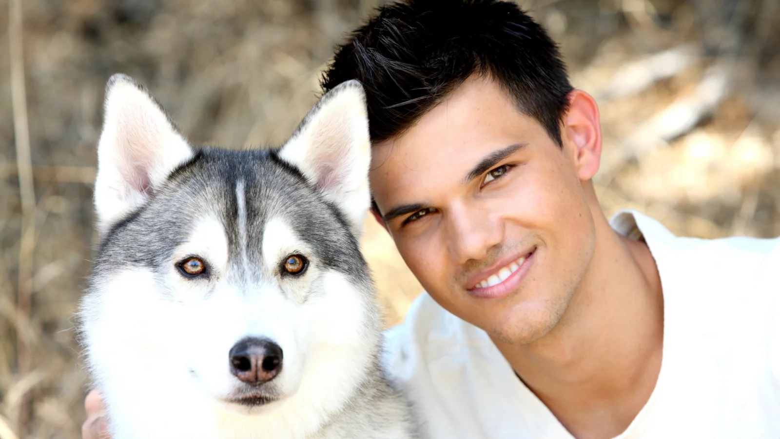 teylor lautner, актер, Тейлор лотнер, собака