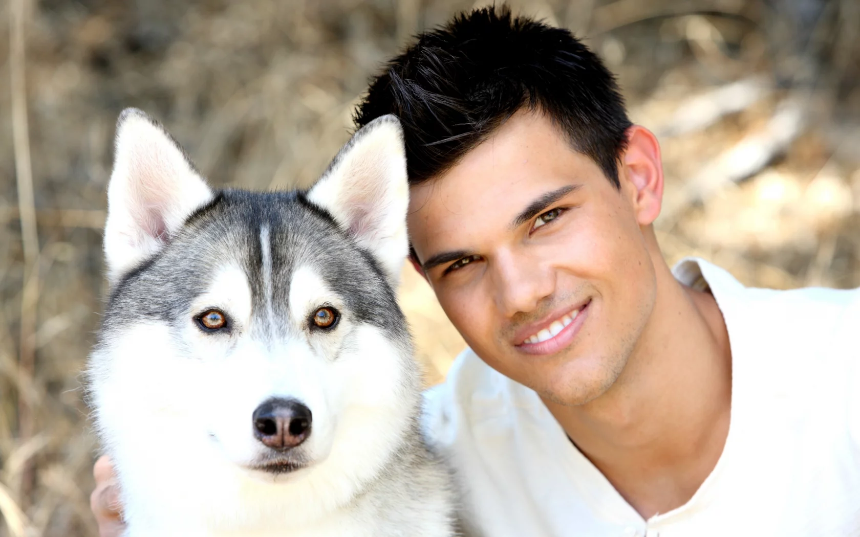 teylor lautner, актер, Тейлор лотнер, собака