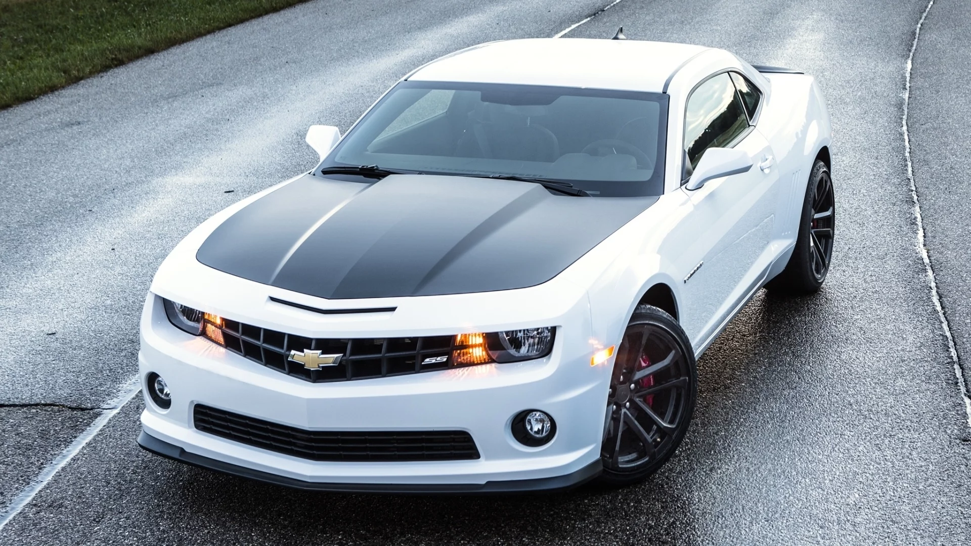 шевроле, muscle car, Chevrolet, камаро, передок, camaro, 1le, белый