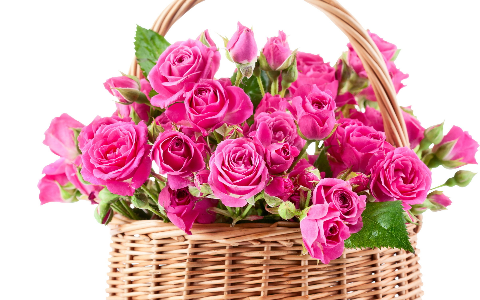 Розы, розовые, цветы, букет, красивые, корзина, корзинка