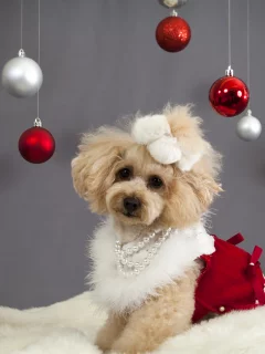 праздник, christmas, рождество, Новый год, шарики, new year