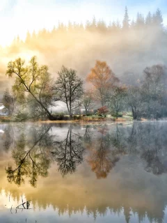 небо, облака, Природа, деревья, озеро, пейзаж, вода
