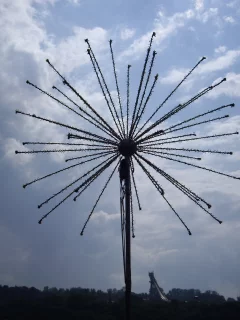 день, спорта в лужниках