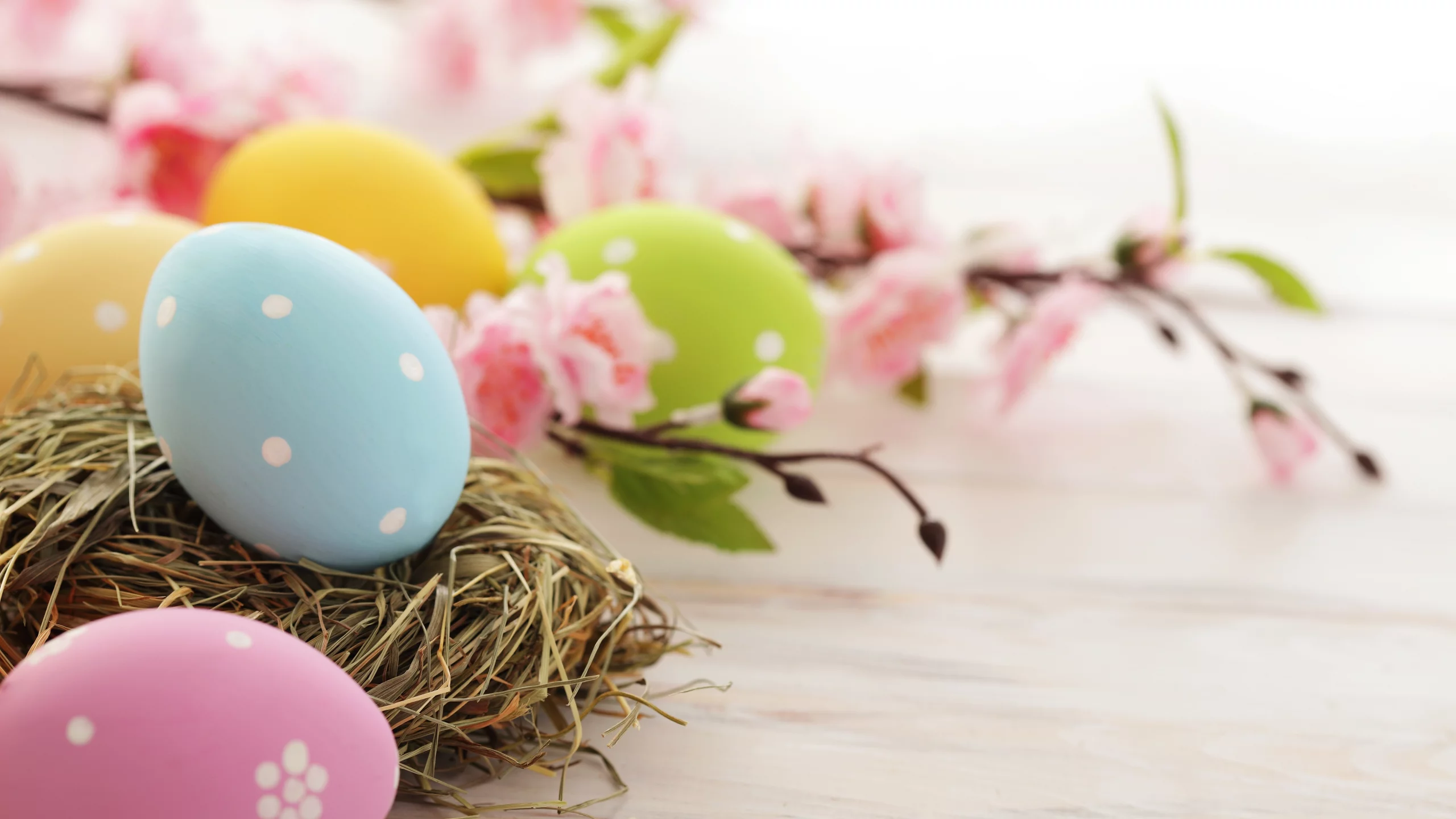 пасхальные, розовые, праздник, пасха, яйца, Easter