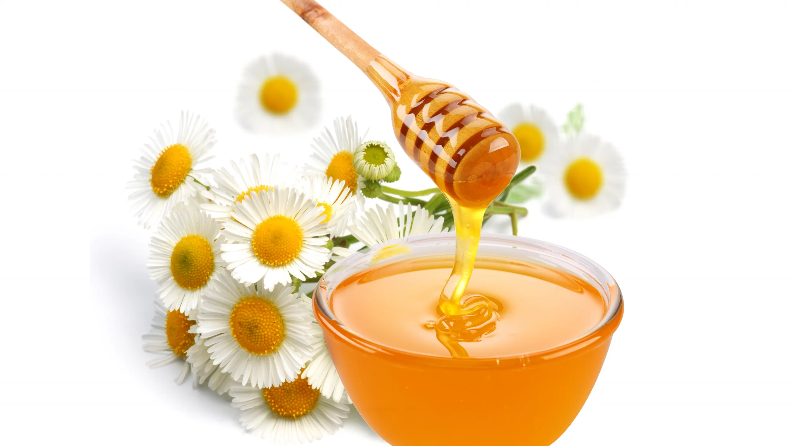 ложка, цветы, пиала, Мед, ромашки, белый фон