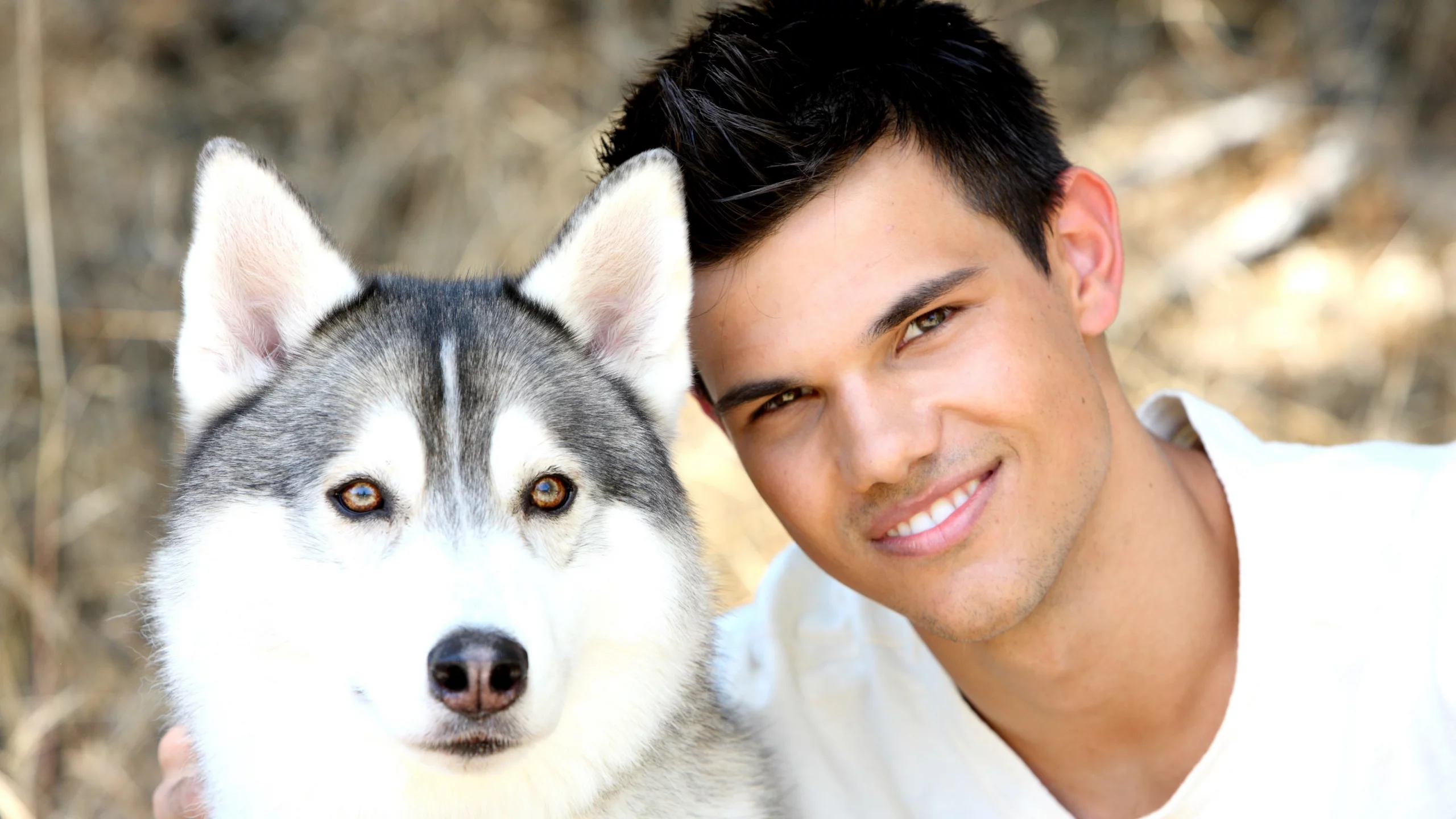 teylor lautner, актер, Тейлор лотнер, собака