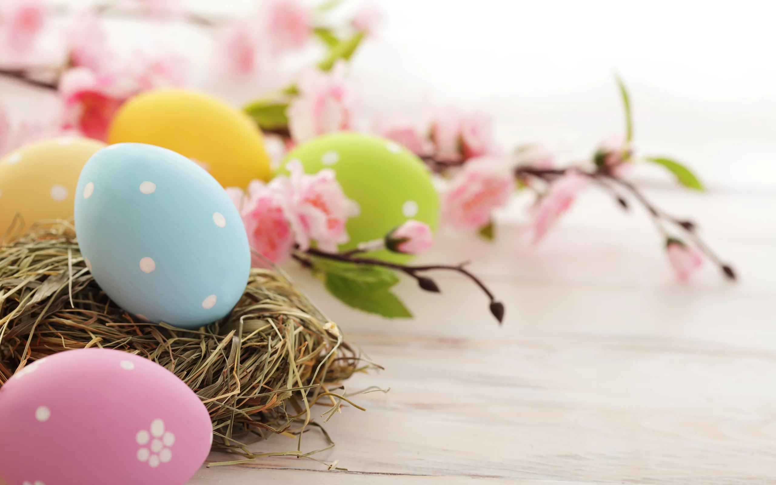 пасхальные, розовые, праздник, пасха, яйца, Easter