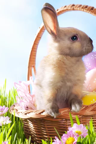 травы, цветы, яйца, пасха, праздники, Easter