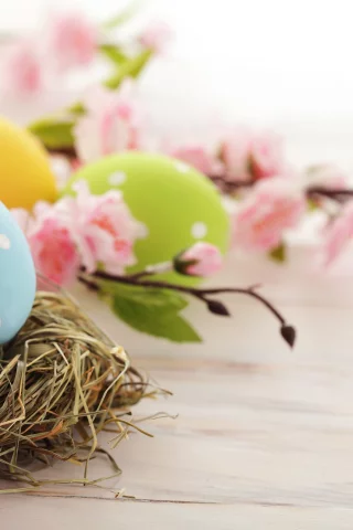 пасхальные, розовые, праздник, пасха, яйца, Easter