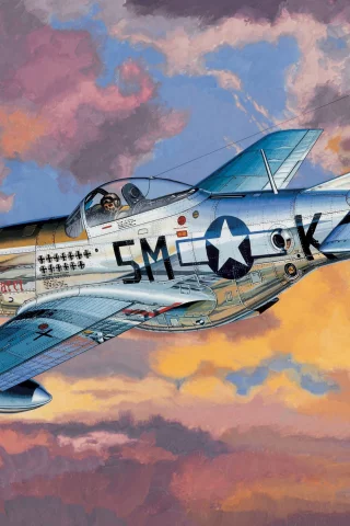 F-6d, истребитель, американский, mustang, самолёт, мустанг
