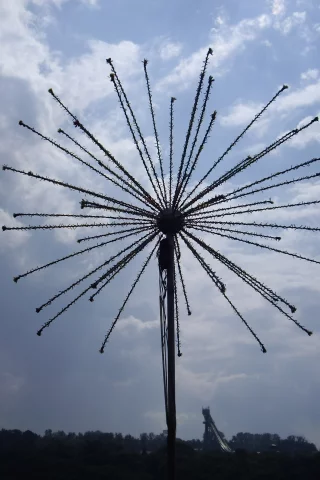 день, спорта в лужниках