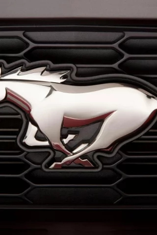 шильдик, форд, мустанг, Ford, эмблема, лошадь, mustang, конь