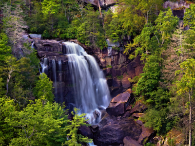 скалы, Whitewater falls, водопад, деревья, поток