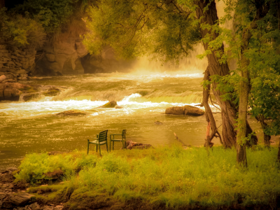 Лес, стулья, природа, река