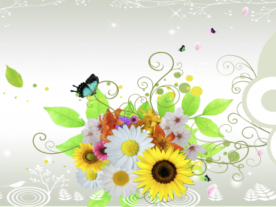 бабочки, Цветы, ромашки, листы