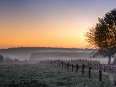 Утро, пейзаж, туман, деревья, поле