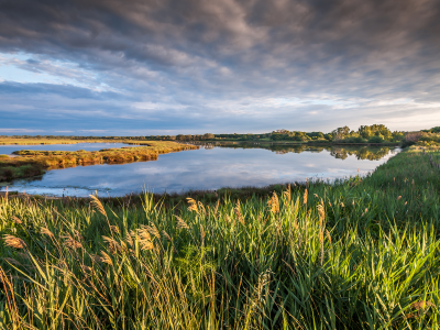 озеро, france, природа, Petite camargue, пейзаж, облака, небо