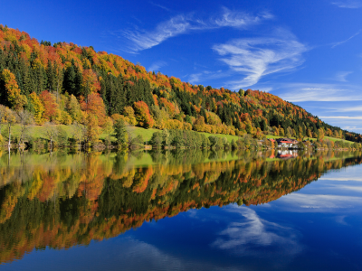Германия, бавария, деревья, осень, лес, разноцветные