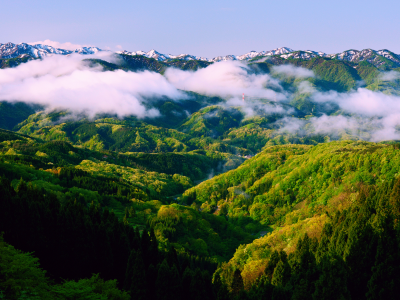 исикава, туман, хонсю, весна, лес, Япония, горы, утро