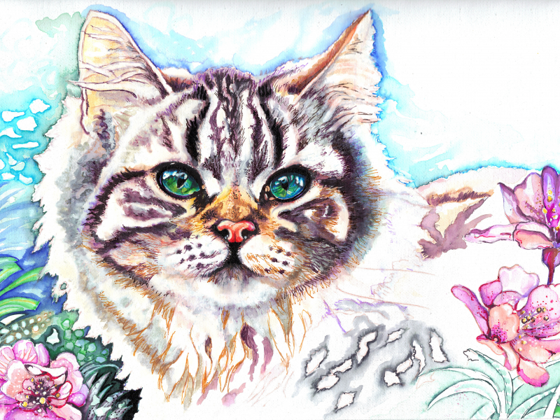 живопись, кот, Christina papagianni, зеленые глаза, животное