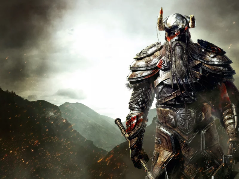 броня, меч, viking, топор, The elder scrolls online, борода, викинг