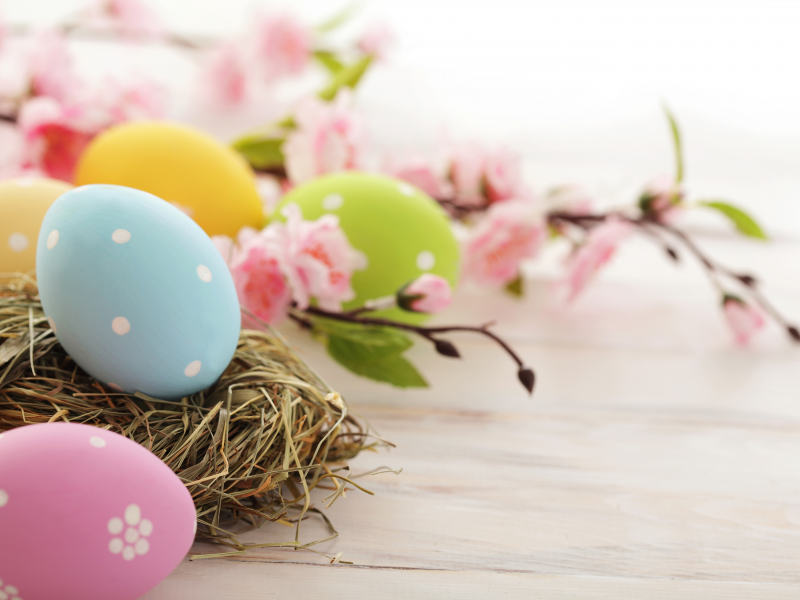 пасхальные, розовые, праздник, пасха, яйца, Easter