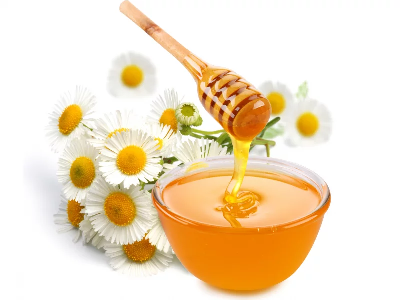 ложка, цветы, пиала, Мед, ромашки, белый фон