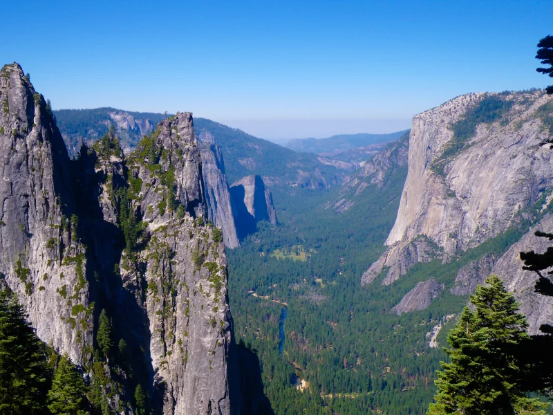 лес, yosemite national park, Горы, река, природа