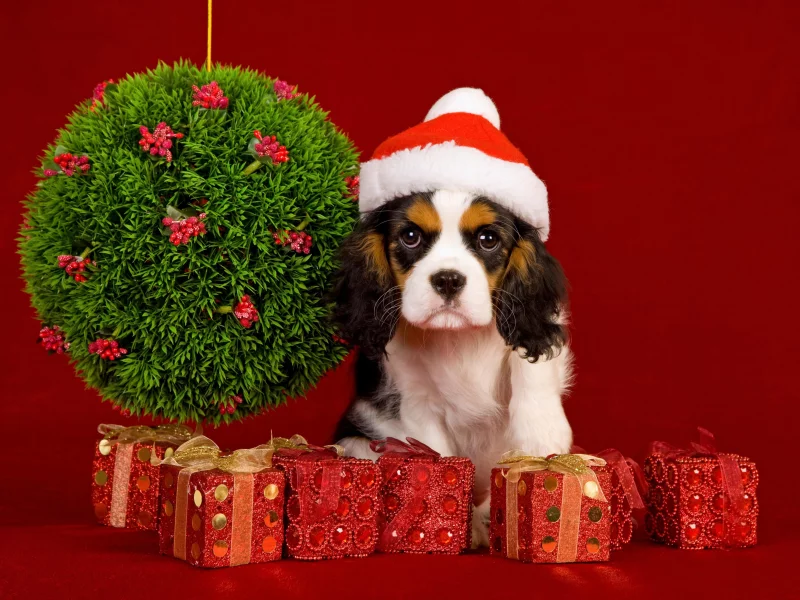 шарики, new year, праздник, рождество, Новый год, christmas