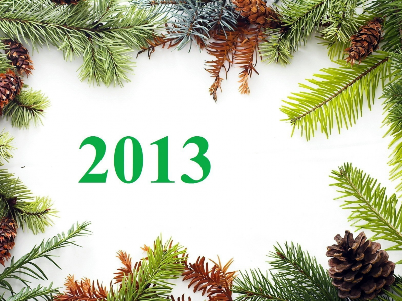 шишки, 2013, happy new year, Новый год