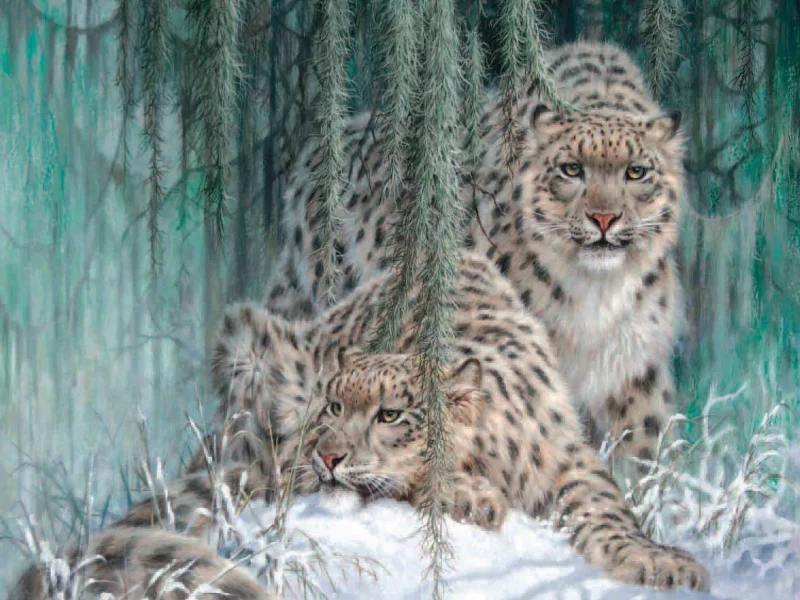 Larry fanning, живопись, ghost in the moonlight, снежный барс, snow leopards