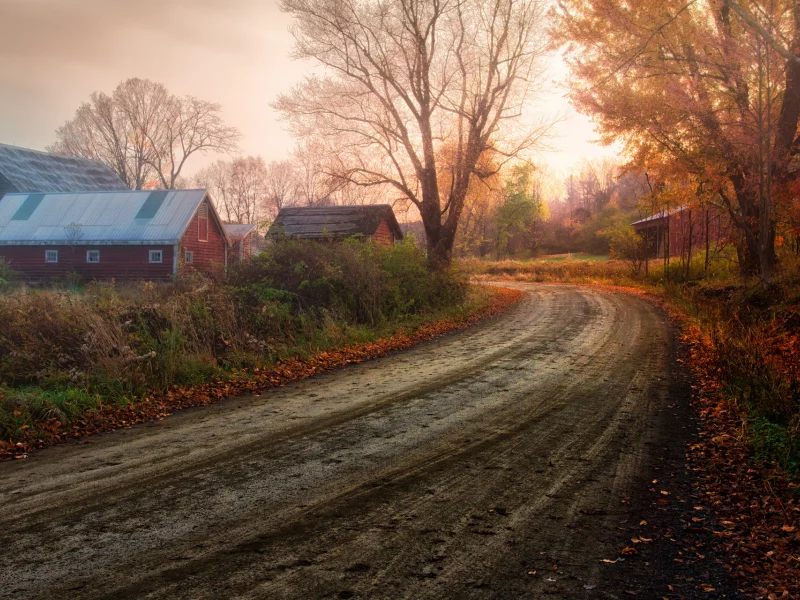 деревьня, осень, Природа, дорога