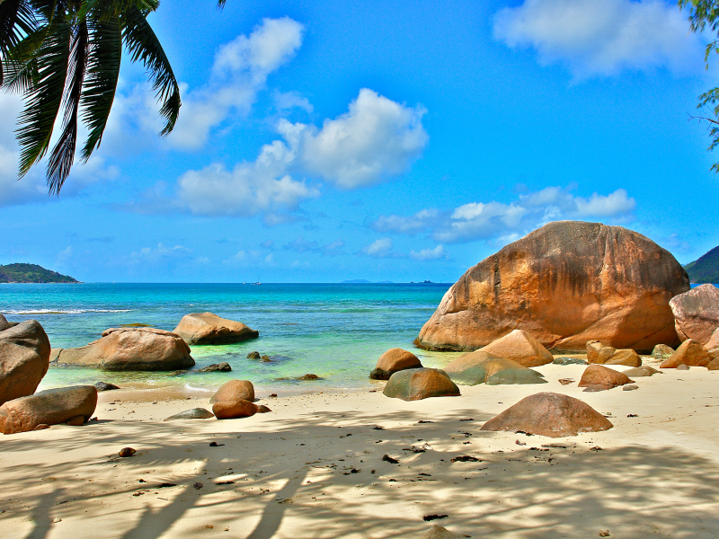 сейшелы, relax, seychelles, отдых, Океан, экзотика, природа