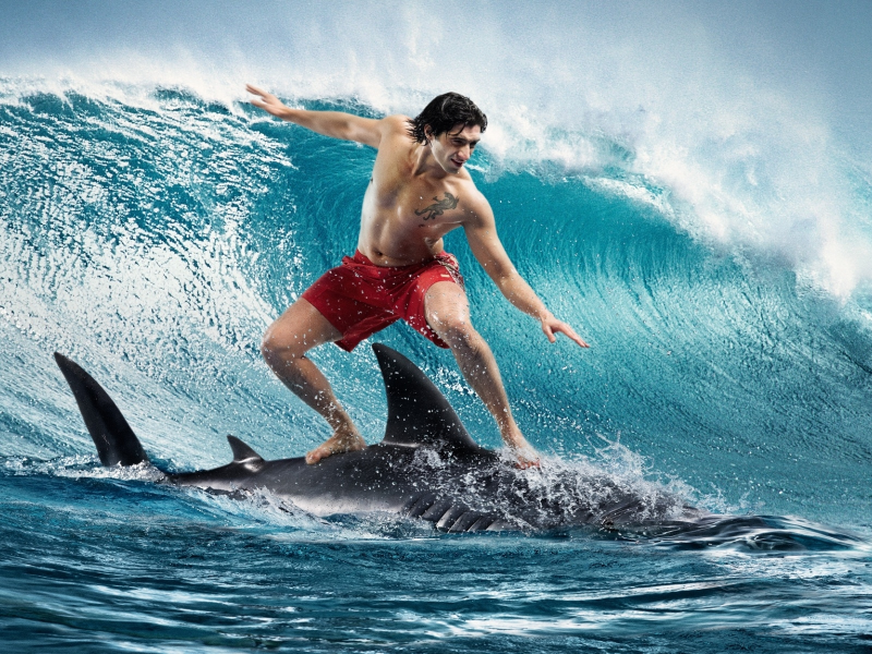 сёрфинг, Парень, surfing, акула, волна