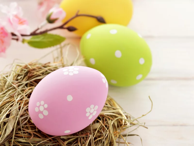 розовые, Easter, пасха, желтые, пасхальные, яйца, гнездо